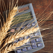 Projetos de Financiamento (Crédito Rural) 