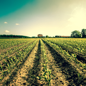 Planejamento Estratégico - Consultoria Rural